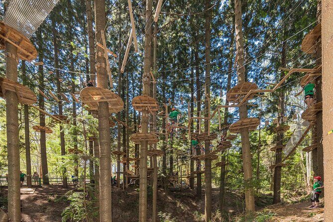Treetops Adventure The Hills - Tree Ropes Course - Introduction