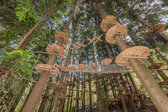 Treetops Adventure The Hills - Tree Ropes Course - Key Points