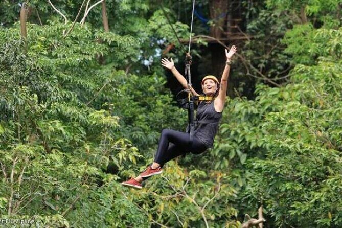Treetops Fiji Zipline Tour with Drop off Transfer to Nadi Airport - Key Points