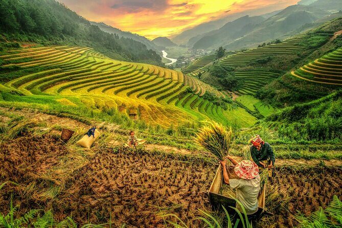 Trek Adventure in Ta Van Village, Lao Chai - FAQ