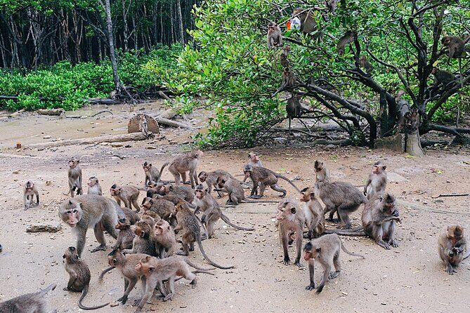 Trek Can Gio Mangrove, Monkey Island with Croc Farm & Cano Option - The Sum Up