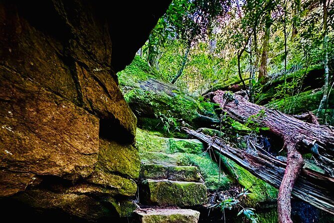 Trek Shoot and Soothe Hiking Tour from Springwood Blue Mountains - Exploring the Itinerary: What You Can Expect