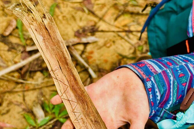 Trek Shoot and Soothe Hiking Tour from Springwood Blue Mountains - Authentic Experiences and Reviewer Insights
