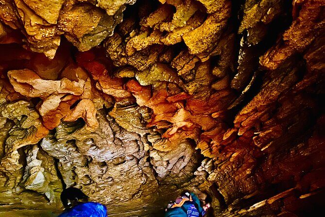 Trek Shoot and Soothe Hiking Tour from Springwood Blue Mountains - Who Should Consider This Tour?
