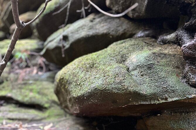 Trek Shoot and Soothe Hiking Tour from Springwood Blue Mountains - FAQs