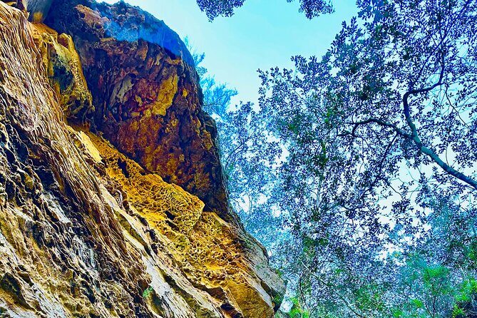 Trek Shoot and Soothe Hiking Tour from Springwood Blue Mountains - Additional Information