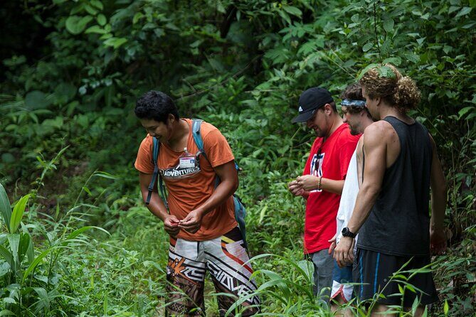 Trek to a Jungle Waterfall - An In-Depth Look at the Jungle Waterfall Trek Experience