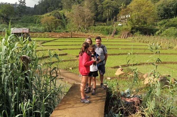 Trek to Little Adam's Peak and Nine Arches Bridge In Ella - A Detailed Look at the Tour