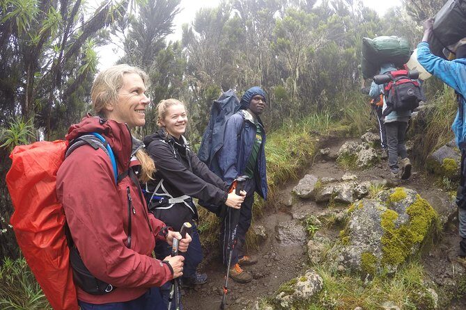 Trek To Mount Kilimanjaro - The Itinerary in Detail