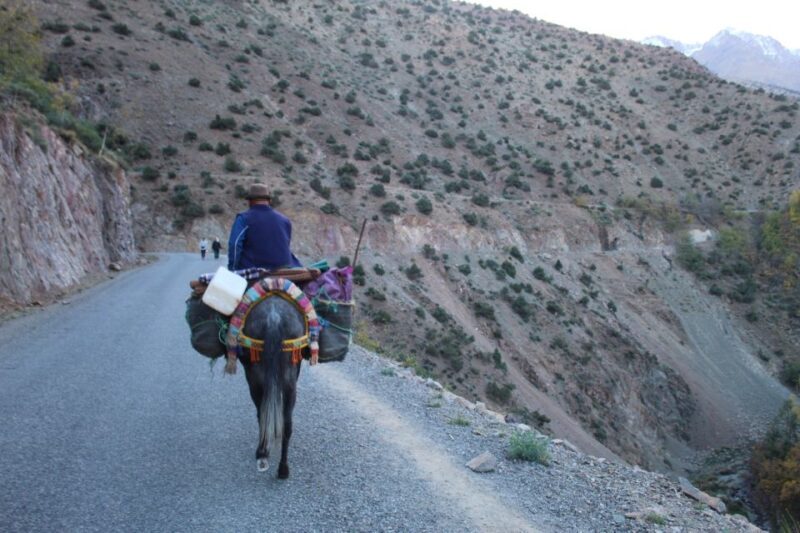 Trekking and Hiking in Morocco 2 Day trek in Atlas Mountains - Price and Overall Value