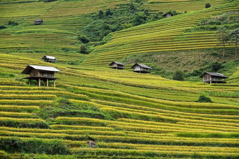 Trekking and Motorbike full day in Mu Cang Chai - An In-Depth Look at the Mu Cang Chai Trekking and Motorbike Tour