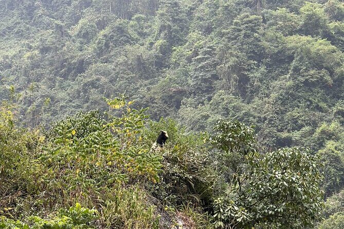 Trekking Ban Gioc Waterfall to Hidden Village on Unique Route - Practical Considerations