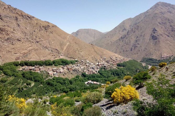 Trekking in Morocco / Atlas Mountains and Sahara Trek (5days) - Reviews from Previous Travelers
