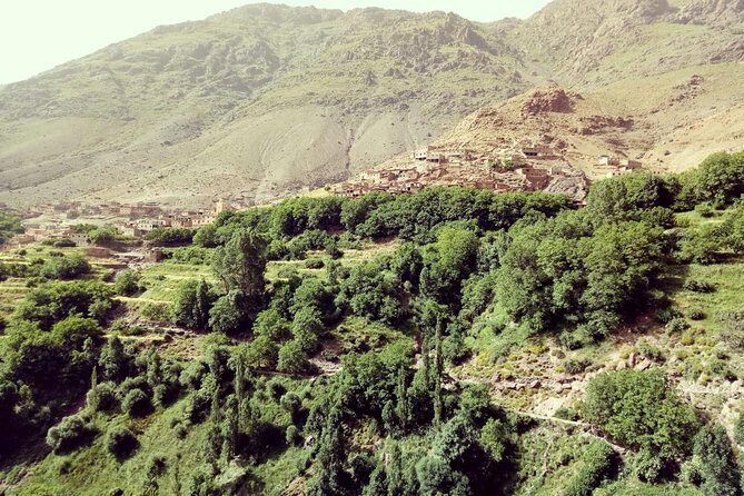 Trekking in Morocco / Atlas Mountains and Sahara Trek (5days) - The Sum Up: Who Is This Tour Best For?