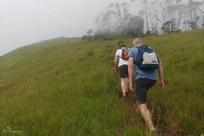 Trekking in Munnar - Cost and Value: An Excellent Deal
