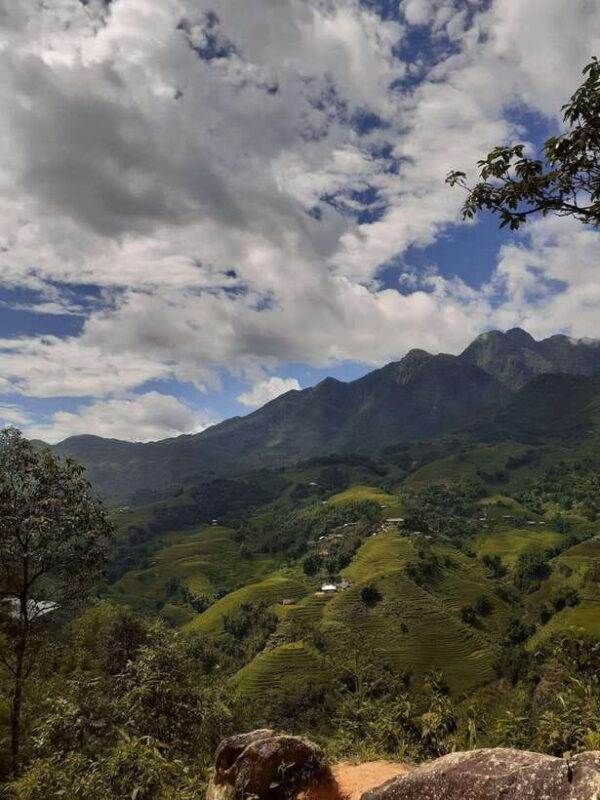 Trekking Sapa 1 Day With Local Guide, Terraced Rice Fields - Key Points