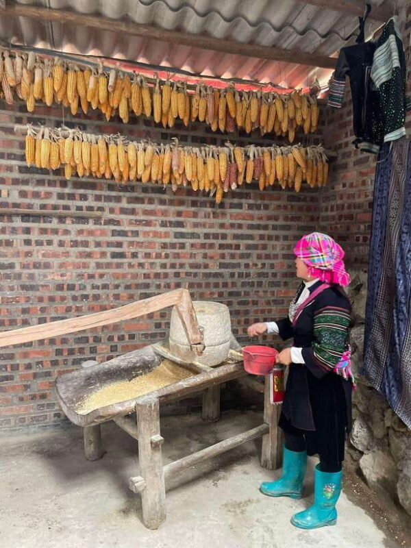 Trekking Sapa 1 Day With Local Guide, Terraced Rice Fields - The Practical Side: What You Need to Know