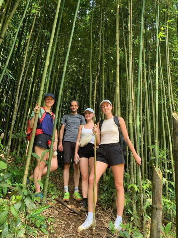 Trekking Sapa 1 Day With Local Guide, Terraced Rice Fields - Authenticity and Local Interaction