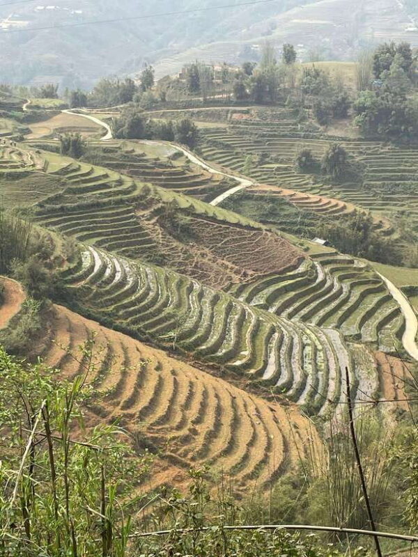 Trekking Sapa 1 Day With Local Guide, Terraced Rice Fields - The Views and Photographic Opportunities
