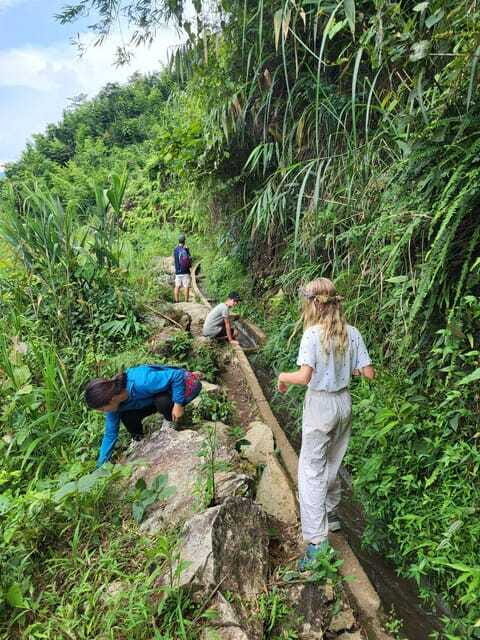 Trekking Sapa 1 Day With Local Guide, Terraced Rice Fields - Final Thoughts on Value and Suitability