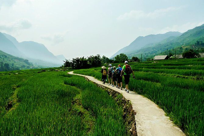 Trekking Through Rice Terraced Fields - 1Day - What Makes This Tour Stand Out?