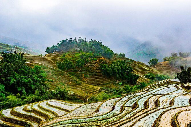Trekking Through Rice Terraced Fields - 1Day - FAQs