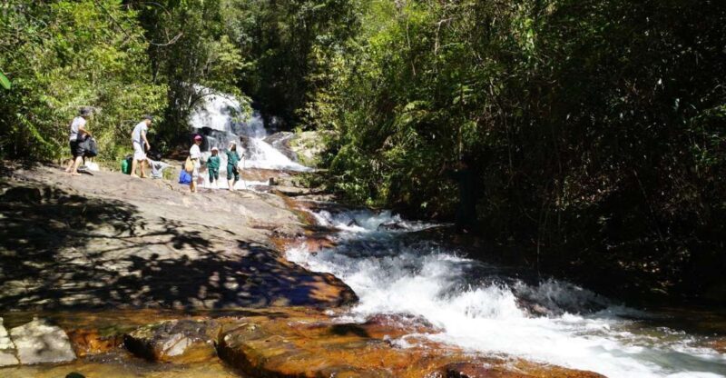 Trekking to Hidden Waterfall & Sturgeon Farm for dog-lovers - Summary