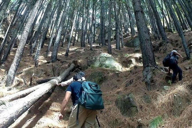 Trekking to The Highest Waterfall in Sri Lanka from Ella - Why This Tour Is Worth Considering
