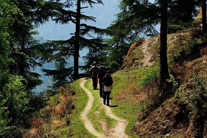 Trek's around Mussoorie - Key Points