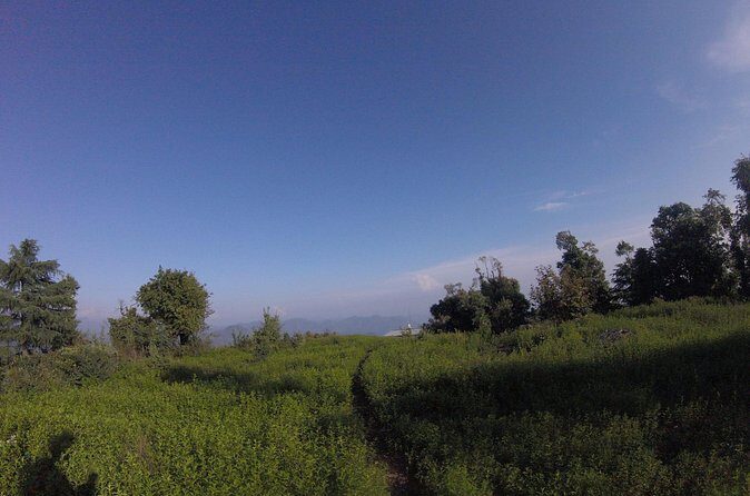 Trek's around Mussoorie - What’s Not Included