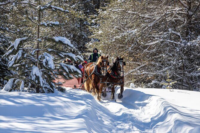 Tremblant Sleighride - The Itinerary: What to Expect from Start to Finish