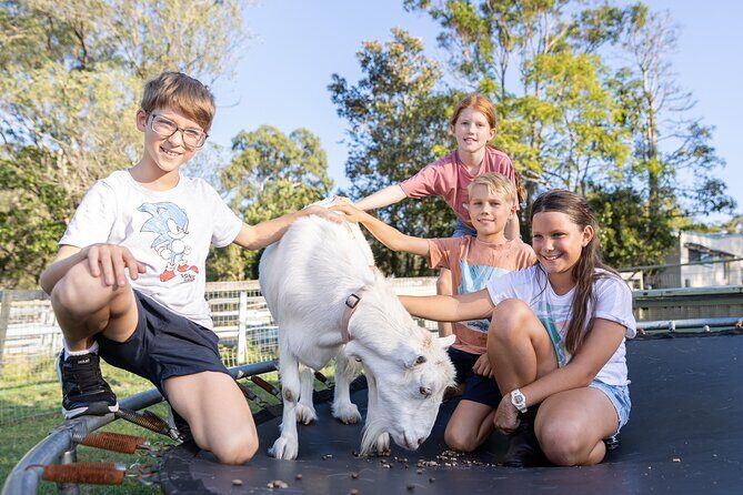 Trevena Glen Farm Animal Experience - What Visitors Say