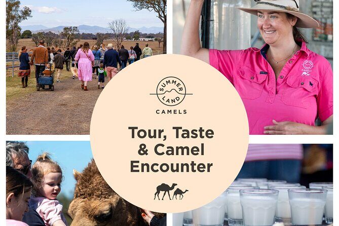 Trevena Glen Farm Animal Experience - The Sum Up: Is Trevena Glen Farm Worth It?