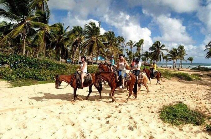 Trial Pack Punta Cana - Who Will Love This Tour?