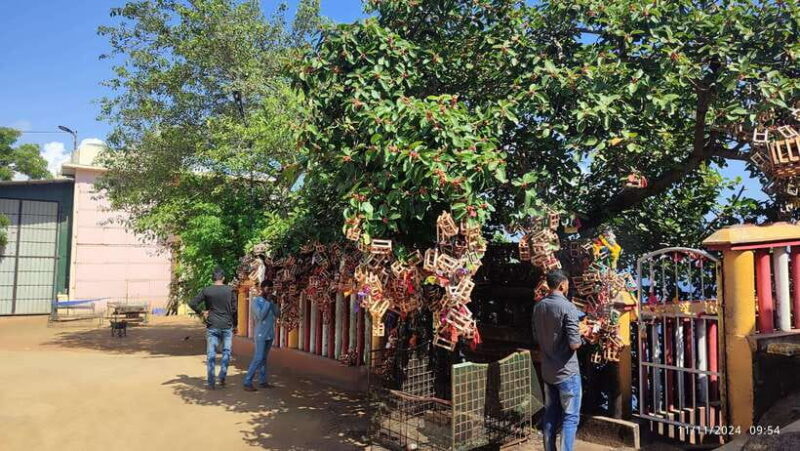 Trincomalee: City Tour with Koneswarm and Crocodile lake - The Sum Up
