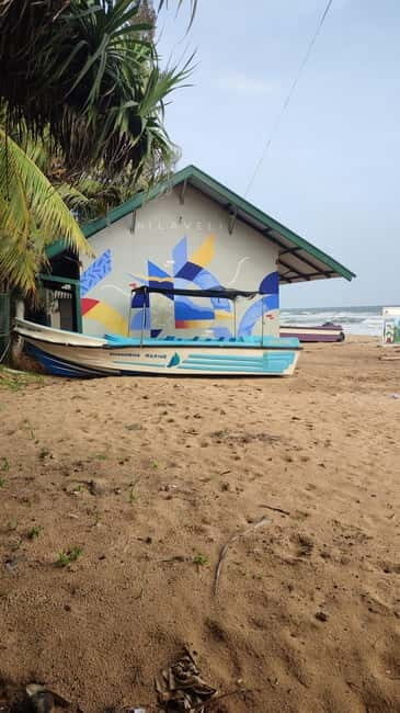 Trincomalee: Dolphin & Whale Watching Boat Tour - What to Expect from the Trincomalee Dolphin & Whale Watching Tour