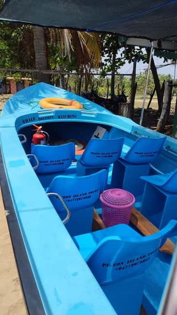 Trincomalee: Dolphin & Whale Watching Boat Tour - Who Will Appreciate This Tour?