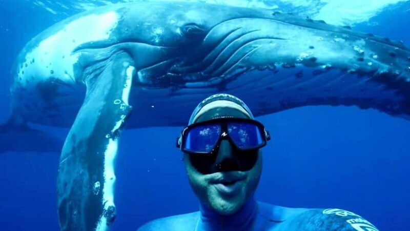 Trincomalee: Snorkeling Adventure with Whales - An In-Depth Look at the Trincomalee Whale Snorkeling Tour