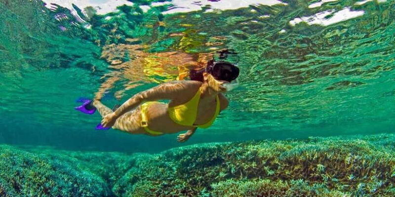 Trincomalee : Snorkeling in trincomalee - Key Points