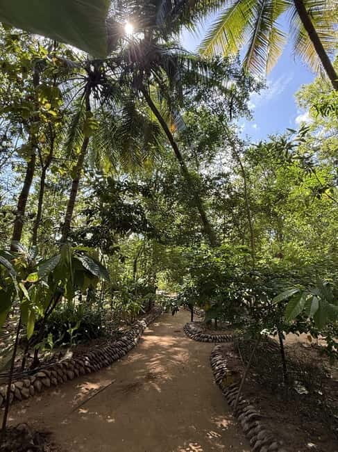 Trincomalee to Sigiriya:Rural Village Tour & Elephant Safari - Who Should Consider This Tour?