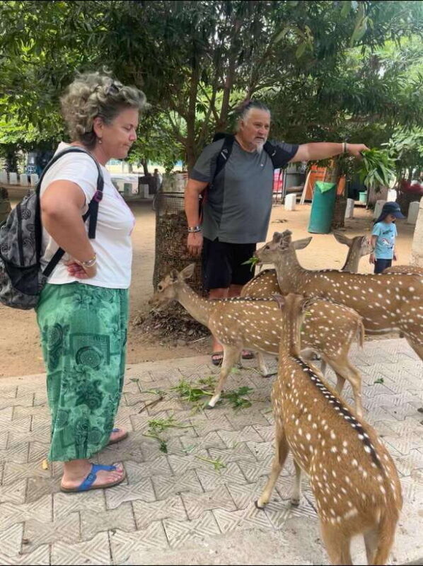 Trincomalee: Tuk-Tuk city tour with a guide - Introduction: A Fun and Practical Way to Discover Trincomalee