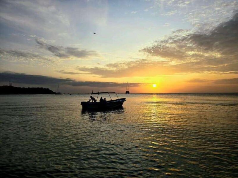 Trincomalee : Whale & dolphin watching +pigeon island tour - Key Points