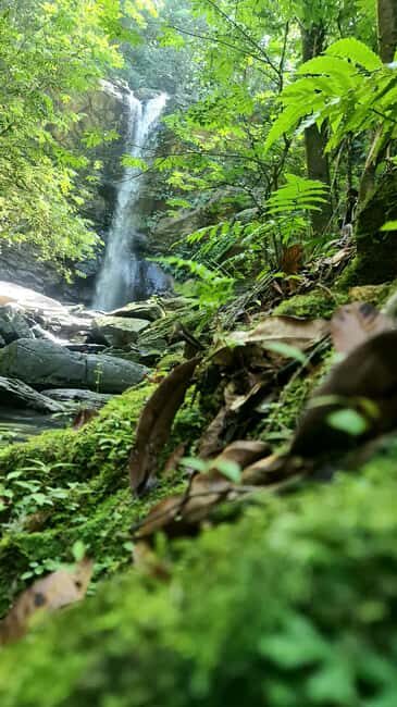 Trinidad: Avocat Waterfall and Maracas Bay Beach Tour - An In-Depth Look at the Itinerary