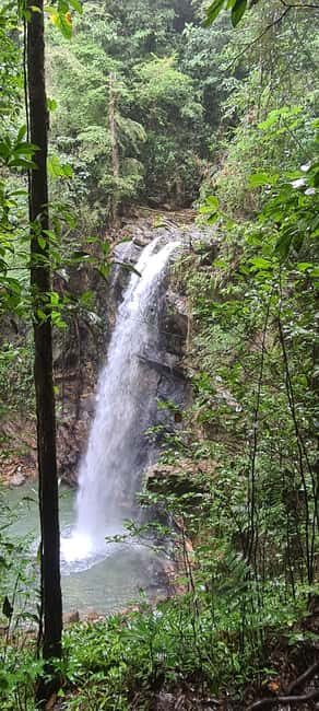 Trinidad: Avocat Waterfall and Maracas Bay Beach Tour - Final Thoughts