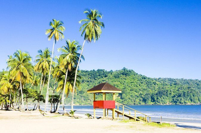 Trinidad Highlights and Scenic Drive Tour - The Sum Up