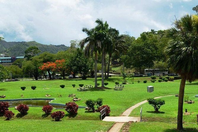 Trinidad Highlights Tour from Port of Spain - Concluding with Maracas Beach