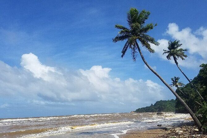 Trinidad Island Circle Tour with Pickup - Final Thoughts: Who Should Book This Tour?