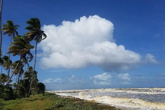 Trinidad Island Circle Tour with Pickup - FAQ