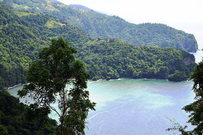 Trinidad Northern Eco-Cultural Full-Day Highlights Tour from Port of Spain - The Real Value of the Tour