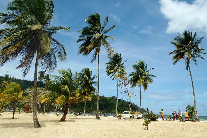 Trinidad Northern Eco-Cultural Full-Day Highlights Tour from Port of Spain - FAQs